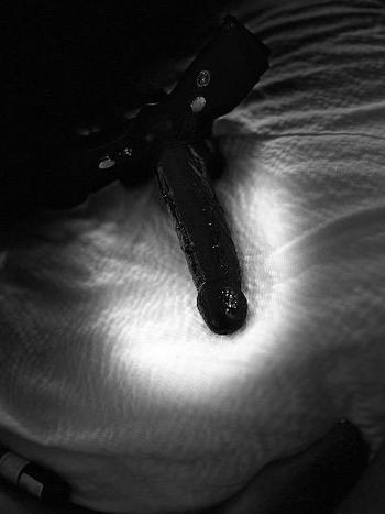 Goddess , 24  female escort, Allentown